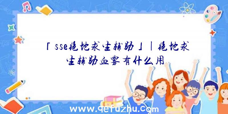 「sse绝地求生辅助」|绝地求生辅助血雾有什么用